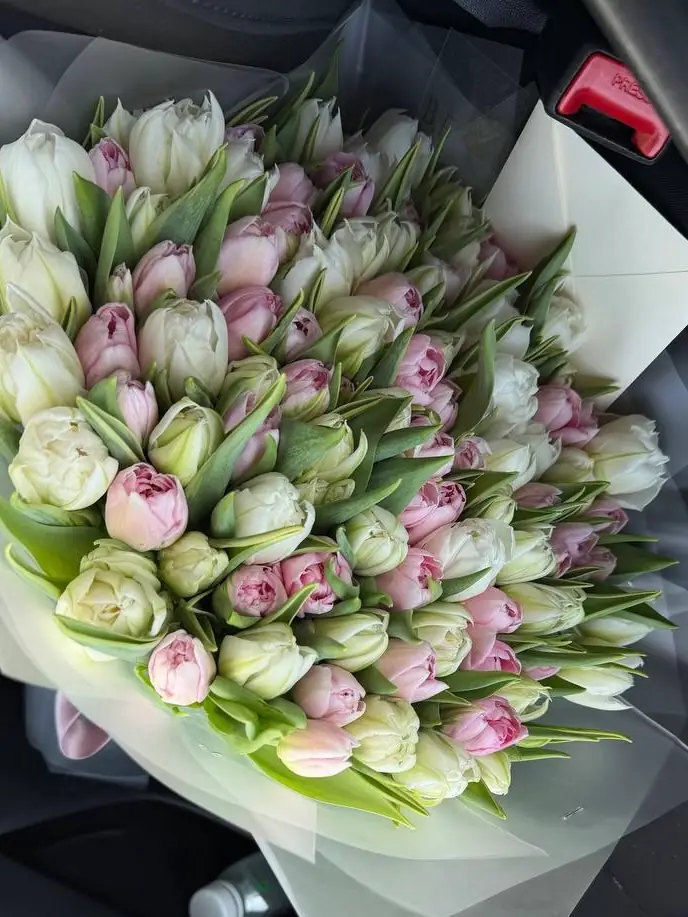 100 double tulips arrangement by Boston Flowers for Boston delivery