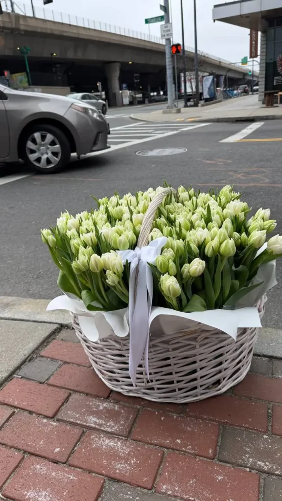 150 double tulips in basket arrangement by Boston Flowers for Boston delivery