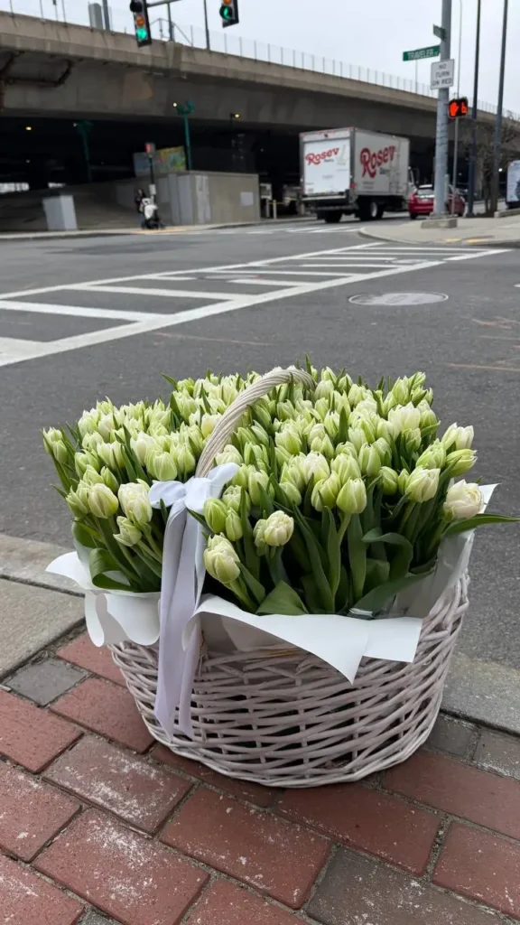 150 double tulips in basket arrangement by Boston Flowers for Boston delivery