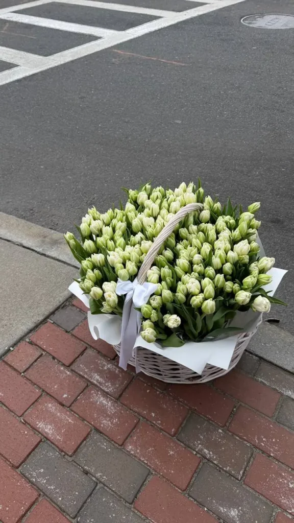 150 double tulips in basket arrangement by Boston Flowers for Boston delivery
