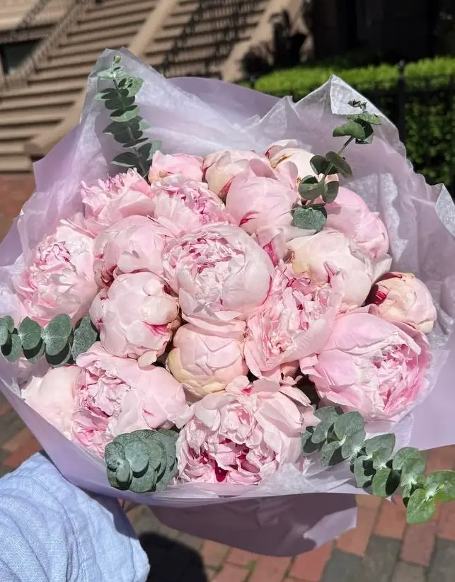 Seasonal peony arrangement by Boston Flowers for Boston delivery