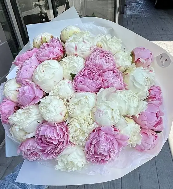 Seasonal peony arrangement by Boston Flowers for Boston delivery