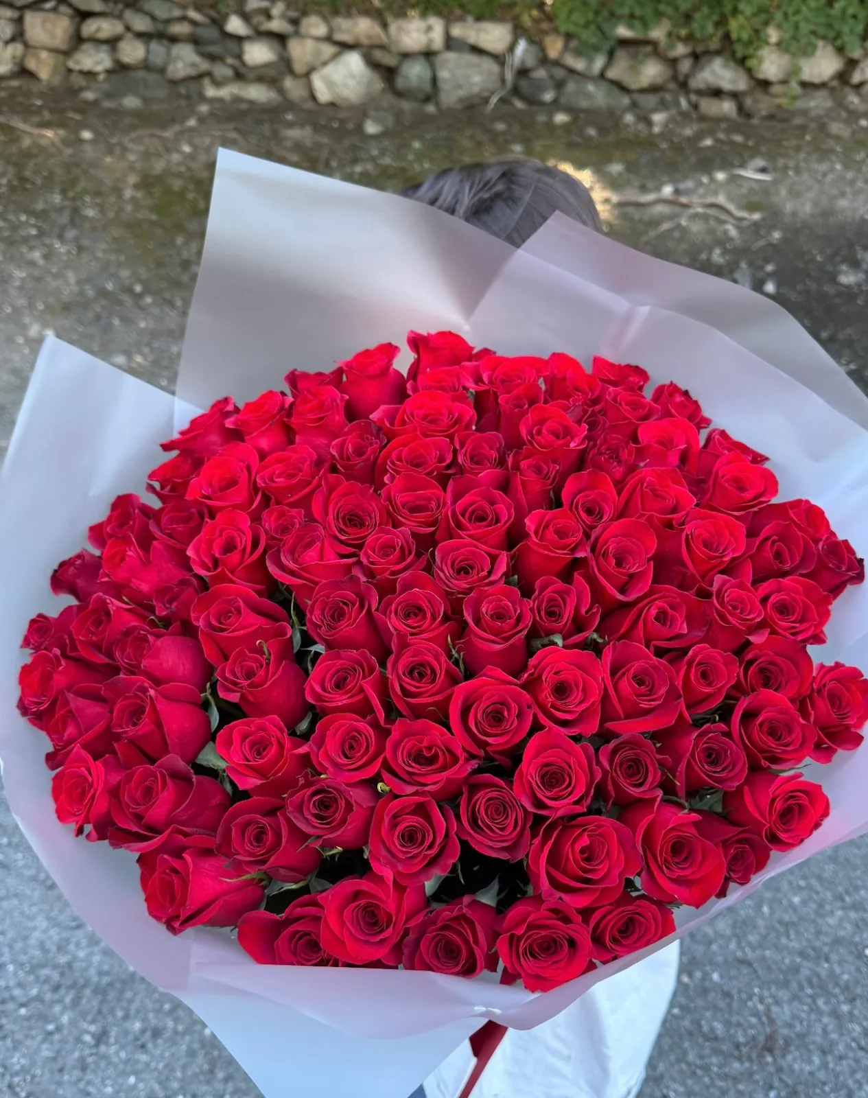 Luxury Розы floral arrangement by Boston Flowers in Brighton, Boston