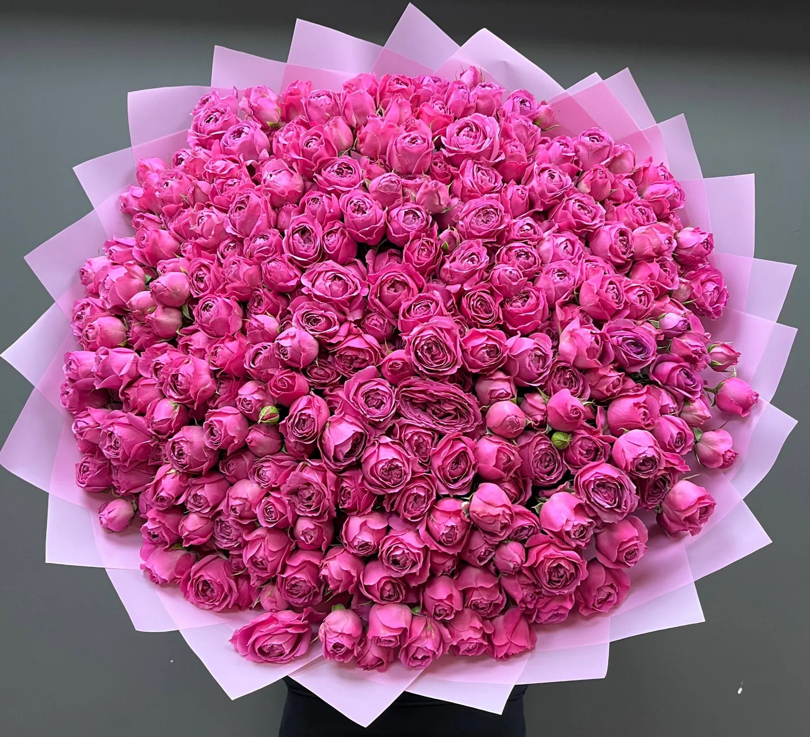 Luxury Розы floral arrangement by Boston Flowers in Brighton, Boston