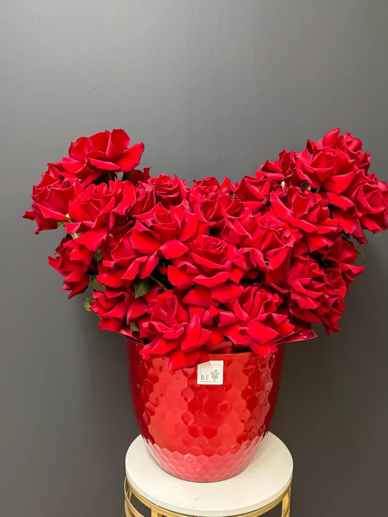 Luxury french roses in planter arranged by Boston Flowers for delivery in Boston