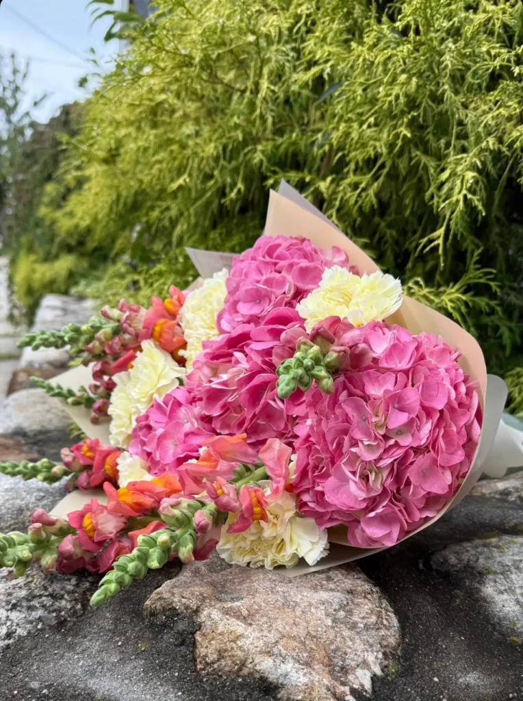 Luxury hydrangea and dianthus mixed bouquet arrangement by Boston Flowers for delivery in Boston