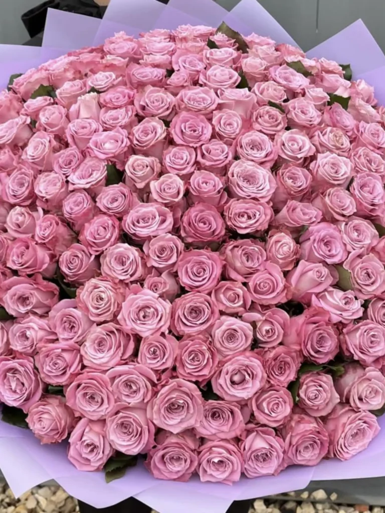Luxury pink ecuadorian roses arranged by Boston Flowers for Boston delivery