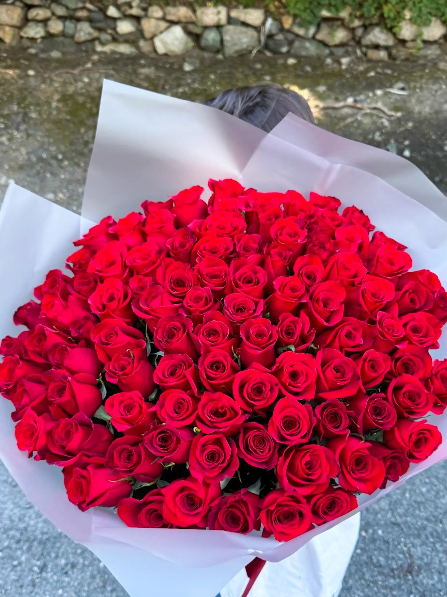 Красные эквадорские розы подарок