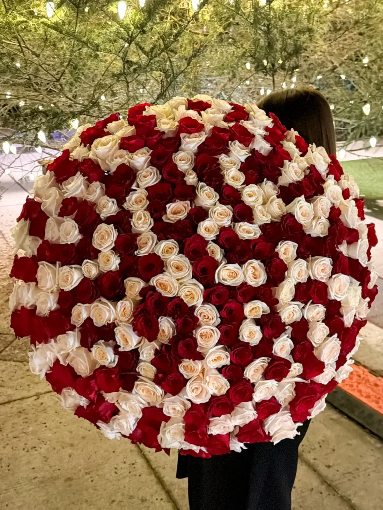 Luxury red & white ecuadorian roses arranged by Boston Flowers for Boston delivery