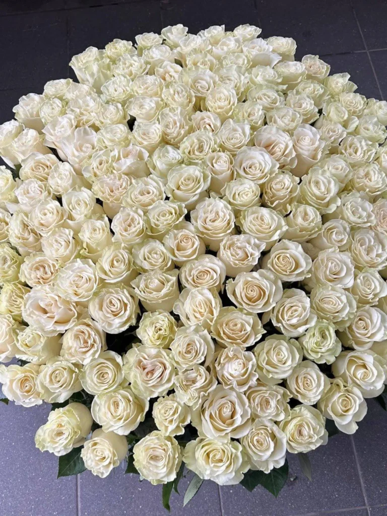 Luxury white ecuadorian roses arranged by Boston Flowers for Boston delivery