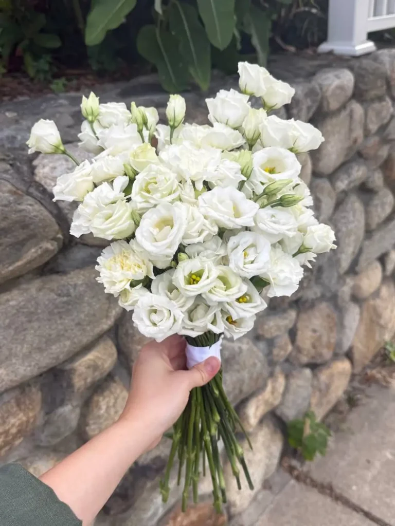Back Bay Luminary Bridal Bouquet Mixed Flowers bouquet in White, Cream & Ivory for premium flower delivery in Boston