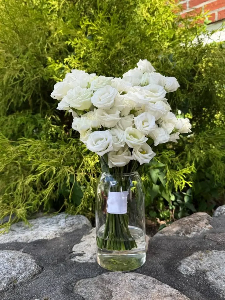 Back Bay Luminary Bridal Bouquet Mixed Flowers bouquet in White, Cream & Ivory for premium flower delivery in Boston