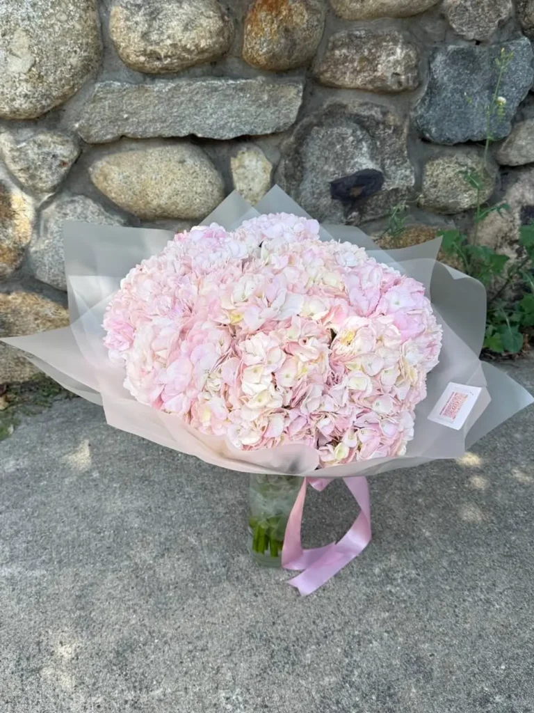 Wellesley Blossom Monobouquet Hydrangeas bouquet in Blush, Pink & Pastel for premium flower delivery in Boston
