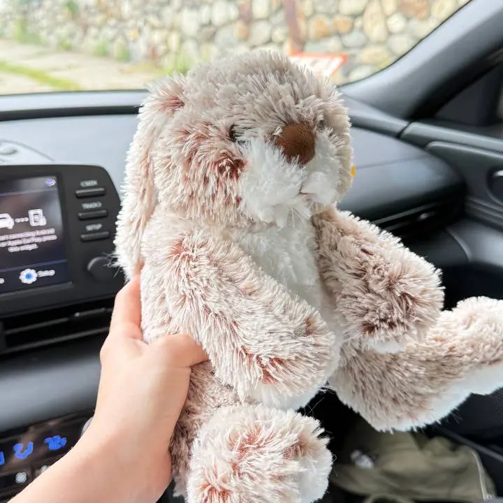 Beige 9-inch plush bunny with floppy ears, gift add-on for Boston flower delivery, view 2